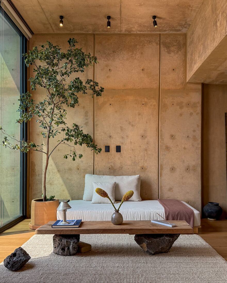 A serene penthouse with a low daybed, potted tree and a private rooftop terrace beyond.